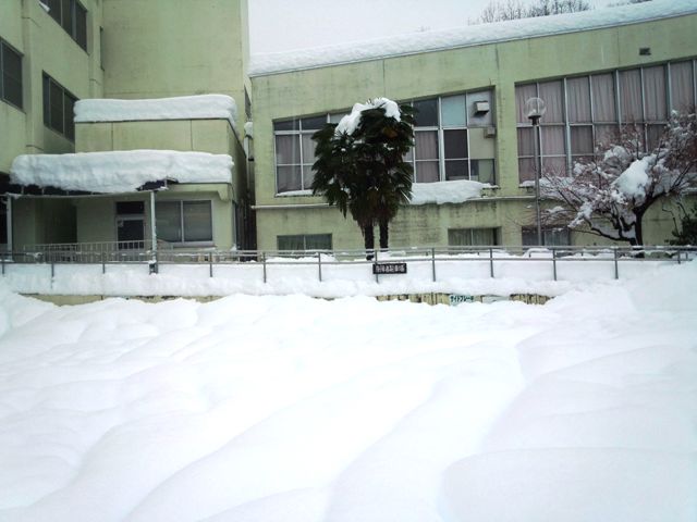 大雪２.jpg